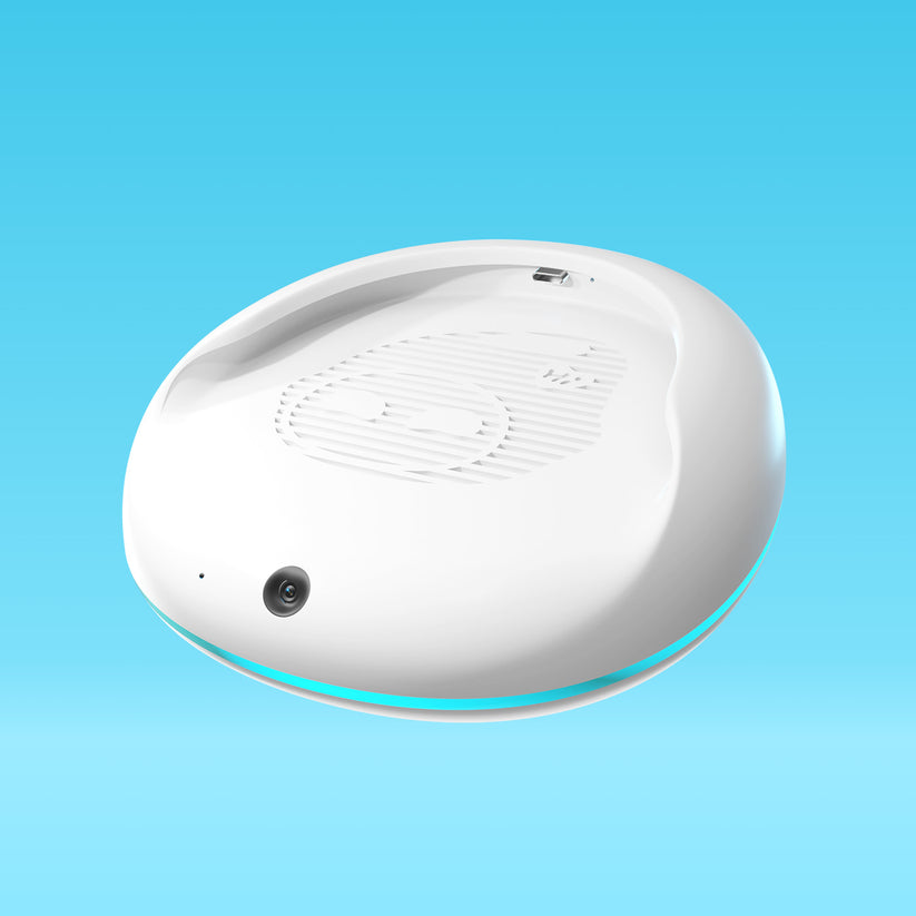 Eiliko – Your Tiny Interactive Pet Charm & AI Chatbot – Energize Lab