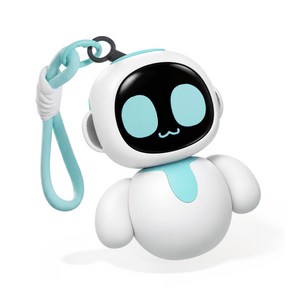 Eiliko – Your Wearable Companion